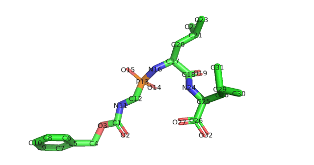 Ligand loaded from sdf file.